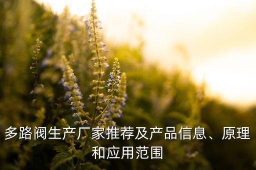 多路閥生產(chǎn)廠(chǎng)家推薦及產(chǎn)品信息、原理和應(yīng)用范圍