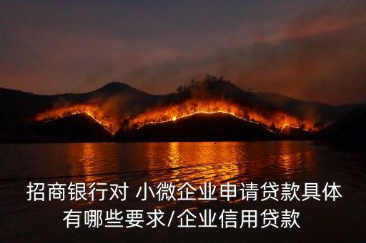  招商銀行對 小微企業(yè)申請貸款具體有哪些要求/企業(yè)信用貸款