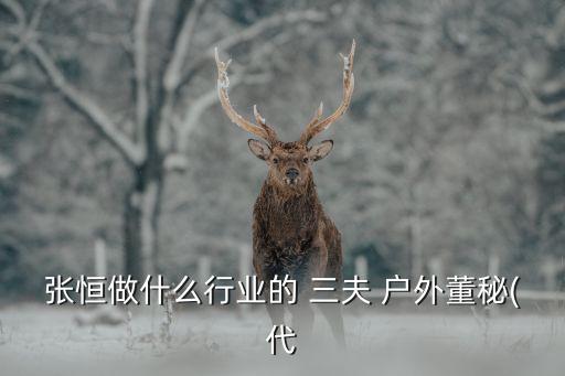 張恒做什么行業(yè)的 三夫 戶外董秘(代