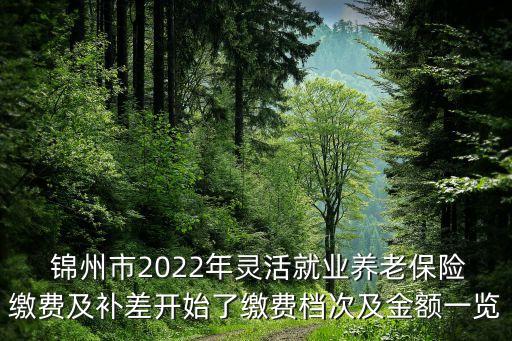  錦州市2022年靈活就業(yè)養(yǎng)老保險繳費(fèi)及補(bǔ)差開始了繳費(fèi)檔次及金額一覽