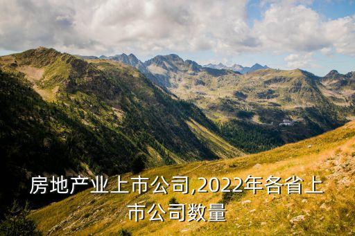 各省房地產(chǎn)業(yè)上市公司,2022年各省上市公司數(shù)量