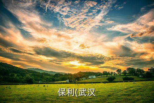 湖北廣電房地產(chǎn)開發(fā)有限公司,湖北天創(chuàng)房地產(chǎn)開發(fā)有限公司