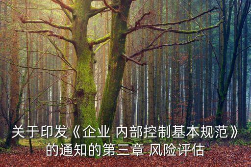 子公司內(nèi)部項(xiàng)目風(fēng)險評審標(biāo)準(zhǔn)