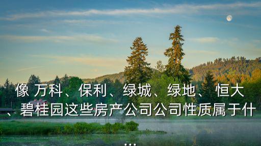 像 萬(wàn)科、保利、綠城、綠地、 恒大、碧桂園這些房產(chǎn)公司公司性質(zhì)屬于什...