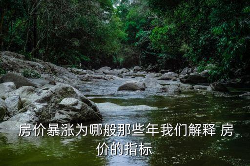  房價暴漲為哪般那些年我們解釋 房價的指標(biāo)