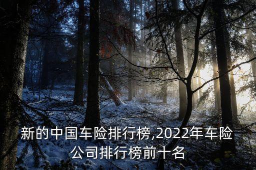 年最新的中國車險(xiǎn)排行榜,2022年車險(xiǎn)公司排行榜前十名