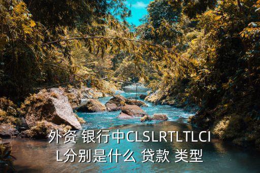 外資 銀行中CLSLRTLTLCIL分別是什么 貸款 類型