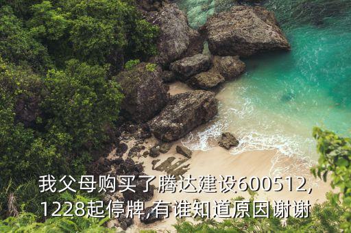 我父母購買了騰達建設600512,1228起停牌,有誰知道原因謝謝