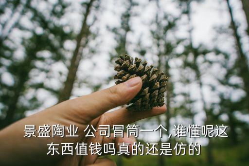  景盛陶業(yè) 公司冒筒一個(gè),誰(shuí)懂呢這東西值錢(qián)嗎真的還是仿的