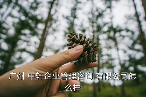 廣州 中軒企業(yè)管理咨詢 有限公司怎么樣