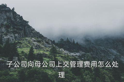  子公司向母公司上交管理費(fèi)用怎么處理