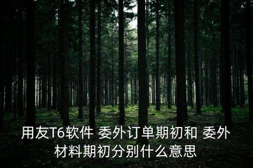 什么是委外投資,委外投資業(yè)務(wù)