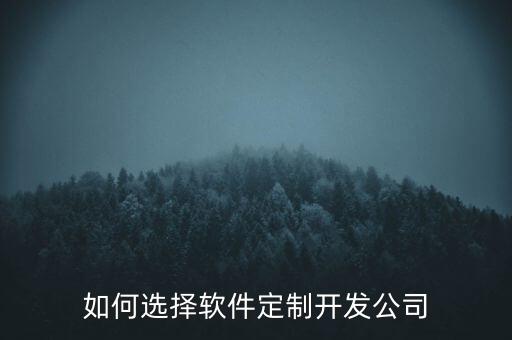 如何選擇軟件定制開(kāi)發(fā)公司