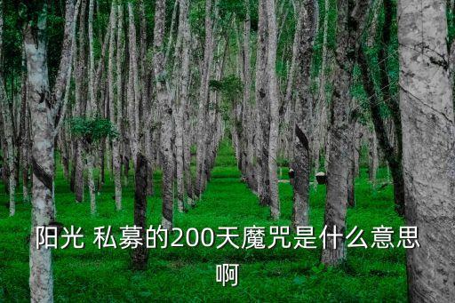 陽光 私募的200天魔咒是什么意思啊