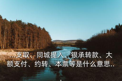 ...支取、同城提入、銀承轉(zhuǎn)款、大額支付、約轉(zhuǎn)、本票等是什么意思...