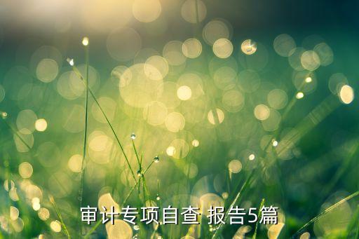 擔(dān)保公司整改報告