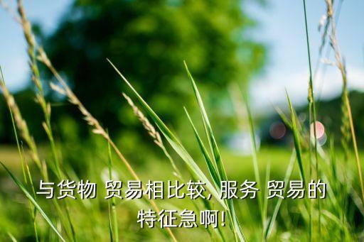 中國服務(wù)貿(mào)易特點(diǎn),服務(wù)貿(mào)易保護(hù)政策的特點(diǎn)