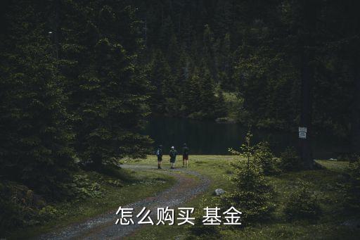 怎么購買 基金