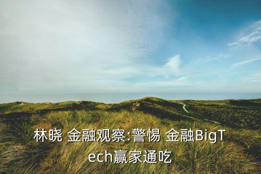 林曉 金融觀察:警惕 金融BigTech贏家通吃