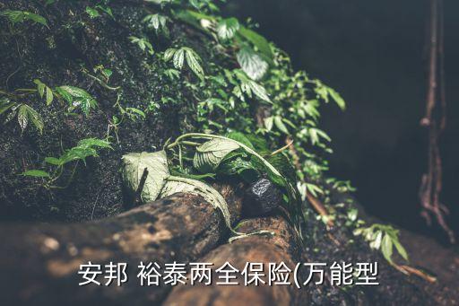 安邦 裕泰兩全保險(萬能型