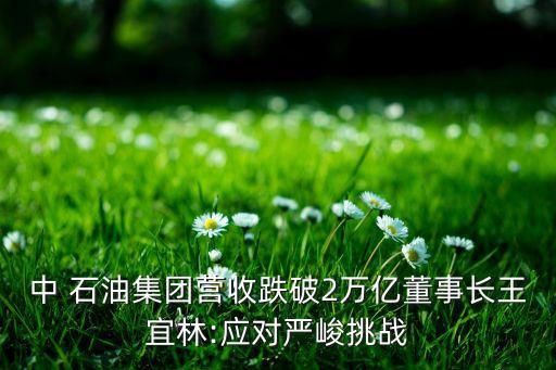 中 石油集團(tuán)營(yíng)收跌破2萬(wàn)億董事長(zhǎng)王宜林:應(yīng)對(duì)嚴(yán)峻挑戰(zhàn)