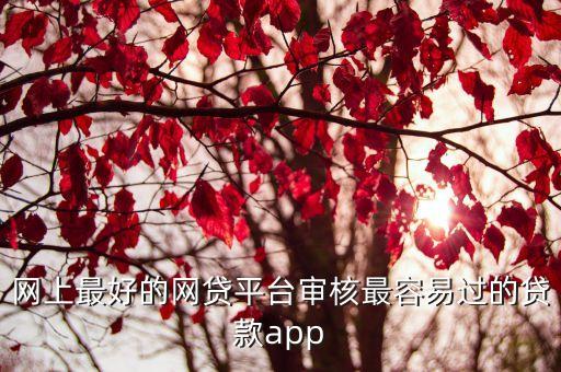 網(wǎng)上最好的網(wǎng)貸平臺(tái)審核最容易過的貸款app