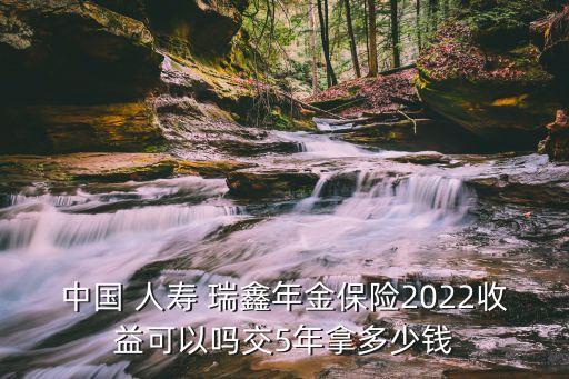 中國 人壽 瑞鑫年金保險(xiǎn)2022收益可以嗎交5年拿多少錢