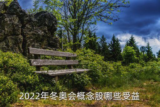 2022年冬奧會概念股哪些受益