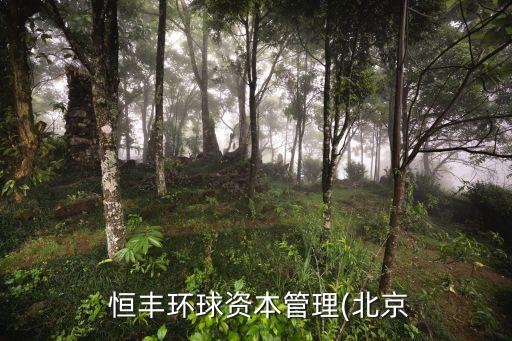 恒豐謝峰基金,恒豐控股董事長(zhǎng)謝峰個(gè)人簡(jiǎn)歷