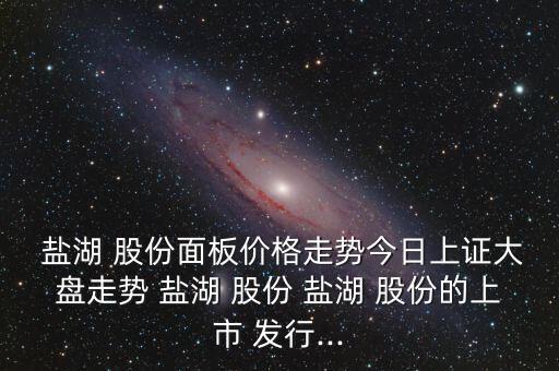  鹽湖 股份面板價(jià)格走勢今日上證大盤走勢 鹽湖 股份 鹽湖 股份的上市 發(fā)行...