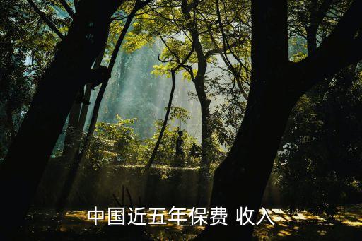 中國近五年保費(fèi) 收入