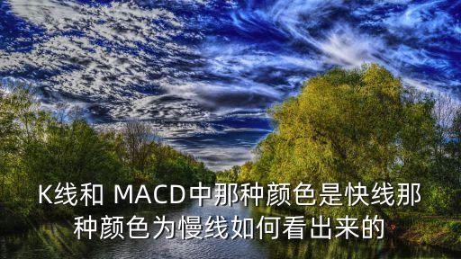 國際金銀行情MACD怎么看圖片