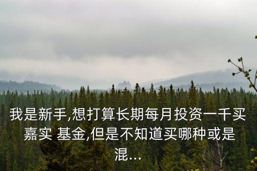 我是新手,想打算長期每月投資一千買 嘉實 基金,但是不知道買哪種或是混...