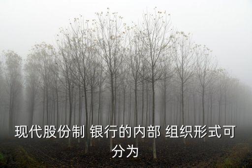 國有銀行的組織架構(gòu),我國國有銀行風(fēng)險(xiǎn)管理的組織架構(gòu)圖