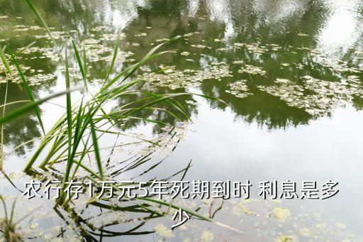 農(nóng)行存1萬元5年死期到時(shí) 利息是多少