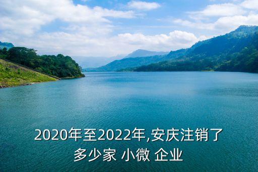 2020年至2022年,安慶注銷了多少家 小微 企業(yè)