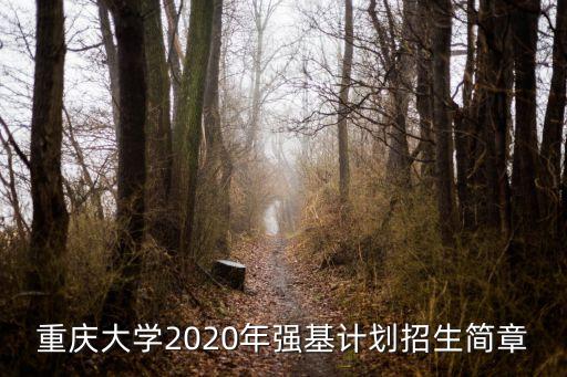 重慶大學2020年強基計劃招生簡章