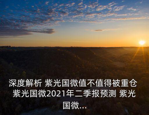 深度解析 紫光國微值不值得被重倉 紫光國微2021年二季報預(yù)測 紫光國微...