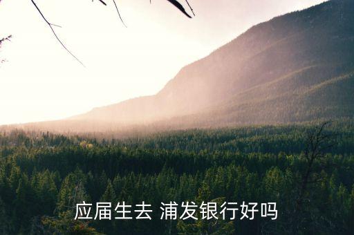 浦發(fā)銀行待遇,銀行待遇最好的是哪家