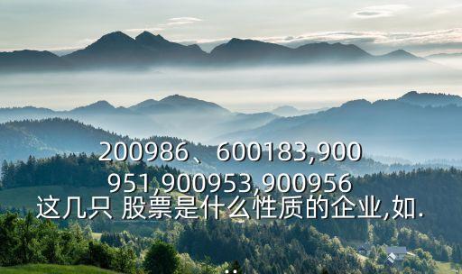 200986、600183,900951,900953,900956這幾只 股票是什么性質(zhì)的企業(yè),如...