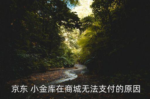  京東 小金庫在商城無法支付的原因