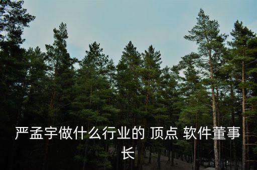 嚴孟宇做什么行業(yè)的 頂點 軟件董事長