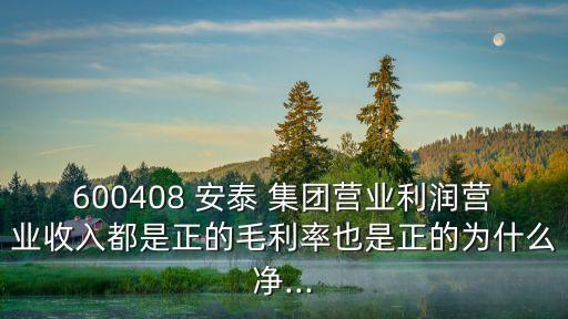 600408 安泰 集團營業(yè)利潤營業(yè)收入都是正的毛利率也是正的為什么凈...