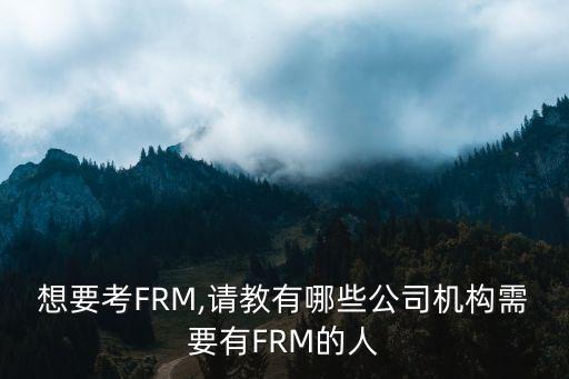 想要考FRM,請教有哪些公司機構(gòu)需要有FRM的人