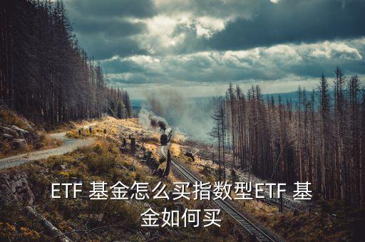 ETF 基金怎么買指數(shù)型ETF 基金如何買