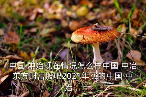 中國(guó) 中冶現(xiàn)在情況怎么樣中國(guó) 中冶東方財(cái)富股吧2021年買(mǎi)的中國(guó) 中冶...