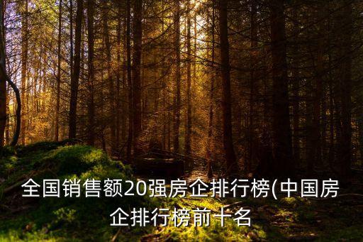 全國銷售額20強(qiáng)房企排行榜(中國房企排行榜前十名