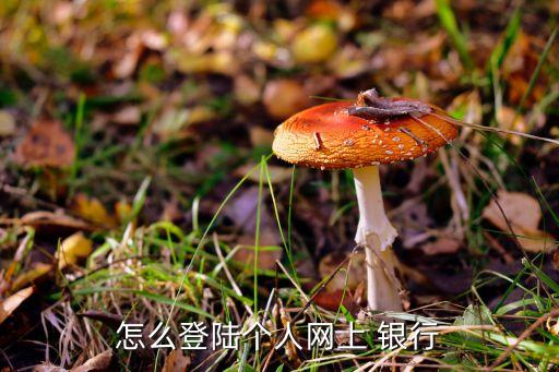 怎么登陸個人網(wǎng)上 銀行