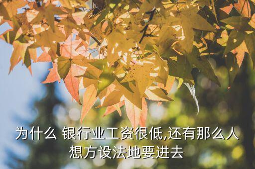 為什么 銀行業(yè)工資很低,還有那么人想方設(shè)法地要進(jìn)去