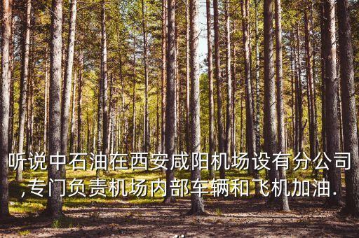 聽說中石油在西安咸陽機場設有分公司,專門負責機場內(nèi)部車輛和飛機加油...